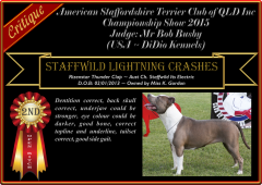 Class 11a ~ 2nd ~ Staffwild Lightning Crashes.png